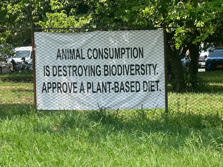 On the walk to register: Animal consumption is destroying biodiversity. Approve a plant-based diet. Picture by Mónica Medina.