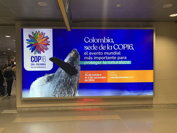 At the Bogotá airport: Colombia, host of CoP16.