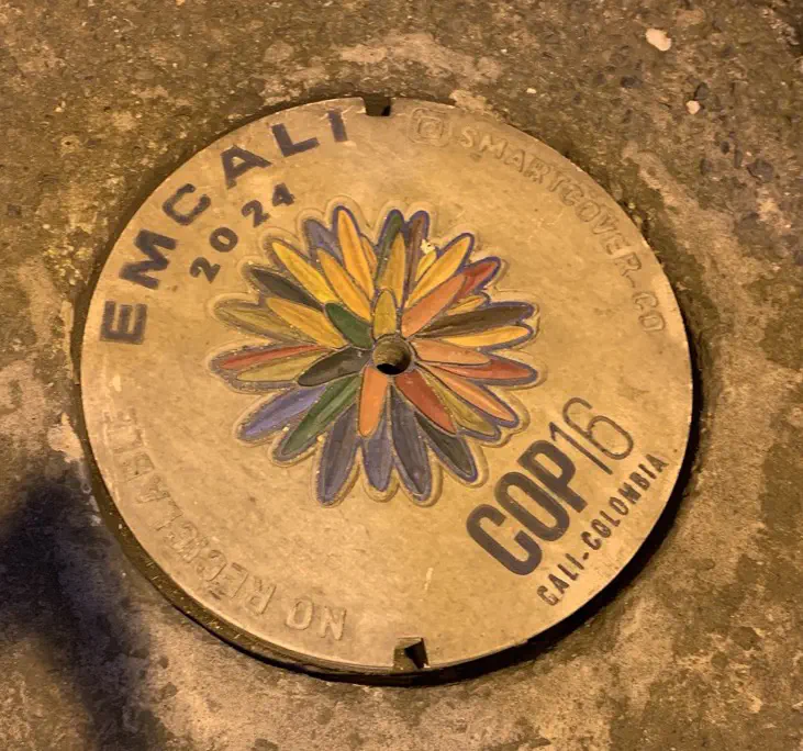 Manhole cover featuring the logo of CoP16, the Inírida flower found only in the Colombian rivers Guainía and Inírida.