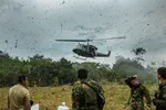 War on drugs and Colombia's forests