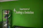 Shrinking shrew research featured in the SBU Statesman