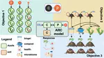 Azolla as a Soil Amendment to Facilitate Carbon Sequestration