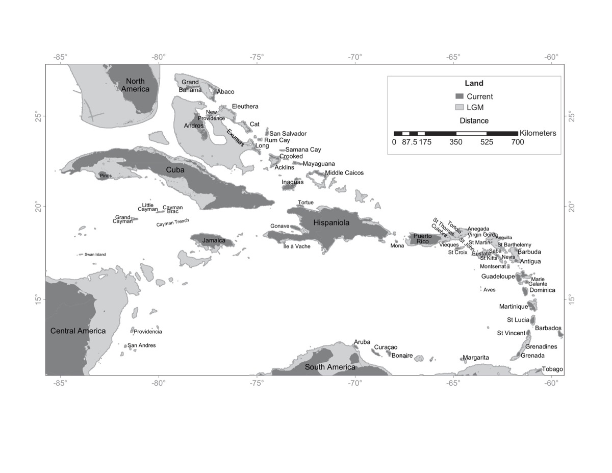 Earth history and the evolution of Caribbean bats | Dávalos Lab