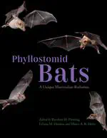 Phyllostomid Bats: A unique Mammalian Radiation