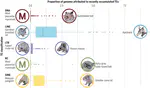 Insights into mammalian TE diversity via the curation of 248 mammalian genome assemblies