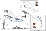 Interactions between intrinsic and extrinsic factors shape island bat survival and extirpation in a global extinction hotspot