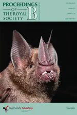 Morphological innovation, diversification and invasion of a new adaptive zone