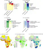 Robust evidence for bats as reservoir hosts is lacking in most African virus studies: a review and call to optimize sampling and conserve bats