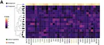 Seasonal and comparative evidence of adaptive gene expression in mammalian brain size plasticity