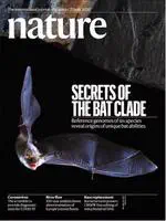 Six reference-quality genomes reveal evolution of bat adaptations