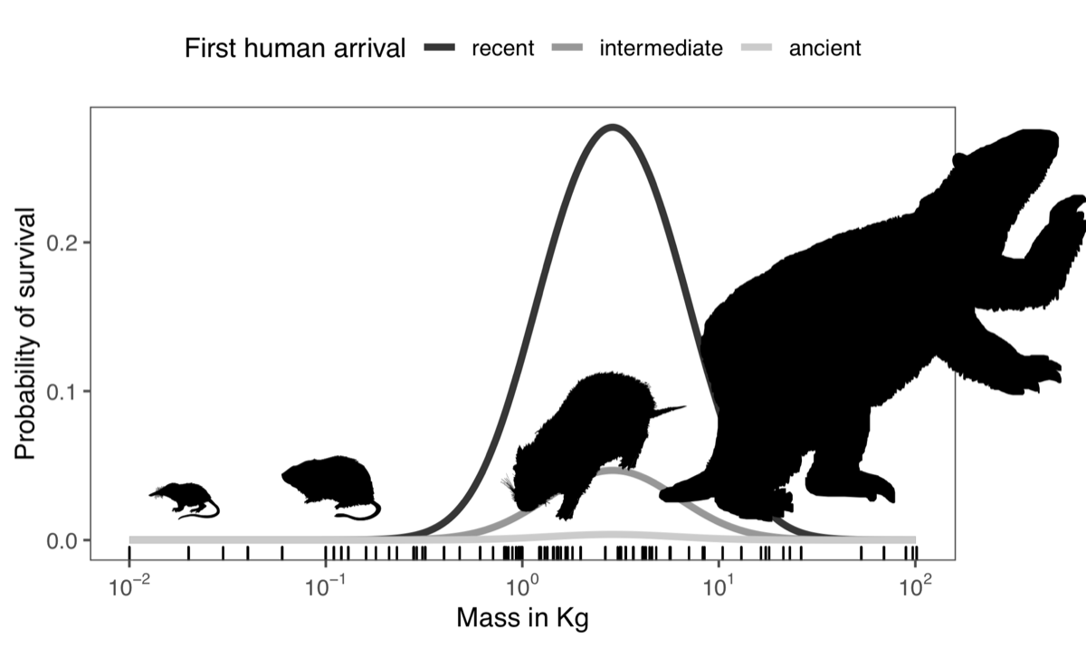 Where the wild things were: intrinsic and extrinsic extinction