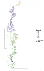 Exon Targeted Retrieval and Classification Toolbox (ExTRaCT): a gene search pipeline to find APOBEC3 Z-domains in novel bat genomes