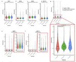 Human and bats genome robustness under COSMIC mutational signatures